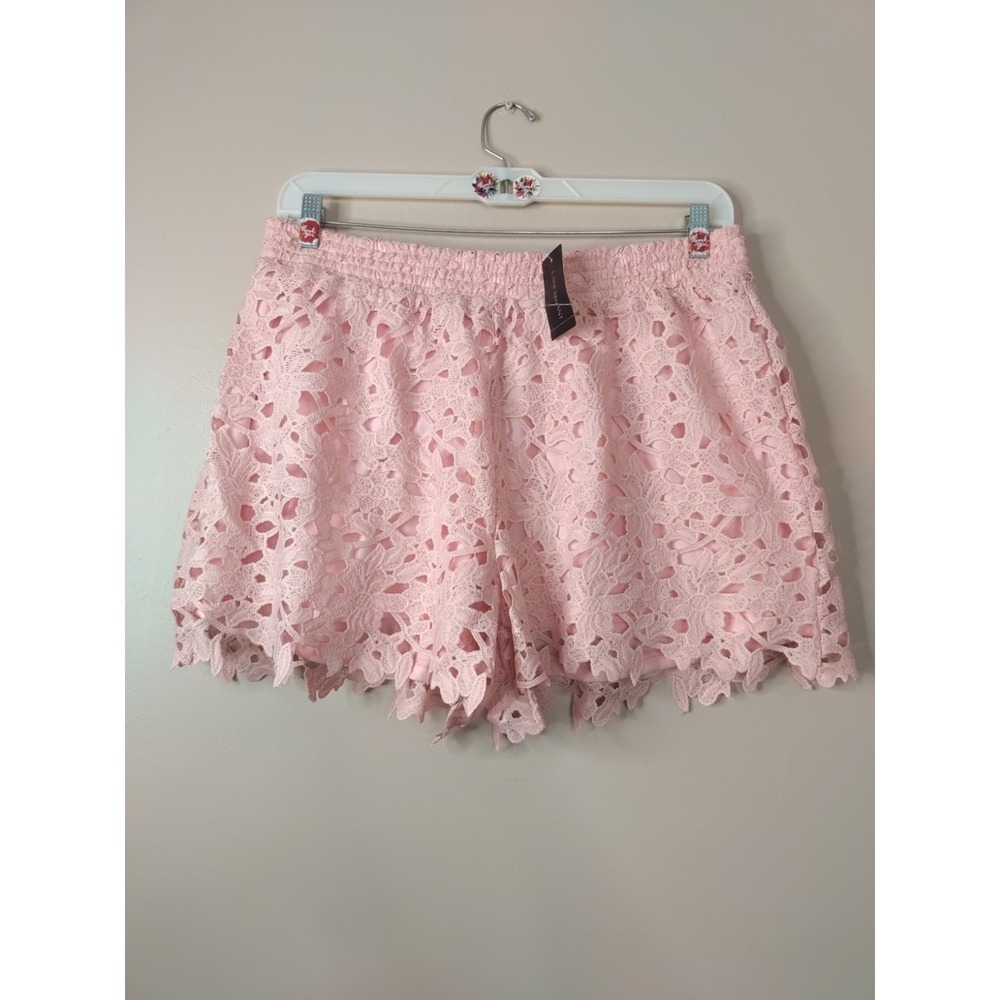 lane bryant Pink Floral Embroidery Lined Elastic Waist Shorts Size 14/16P